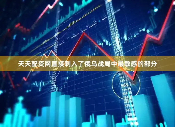 天天配资网直接刺入了俄乌战局中最敏感的部分