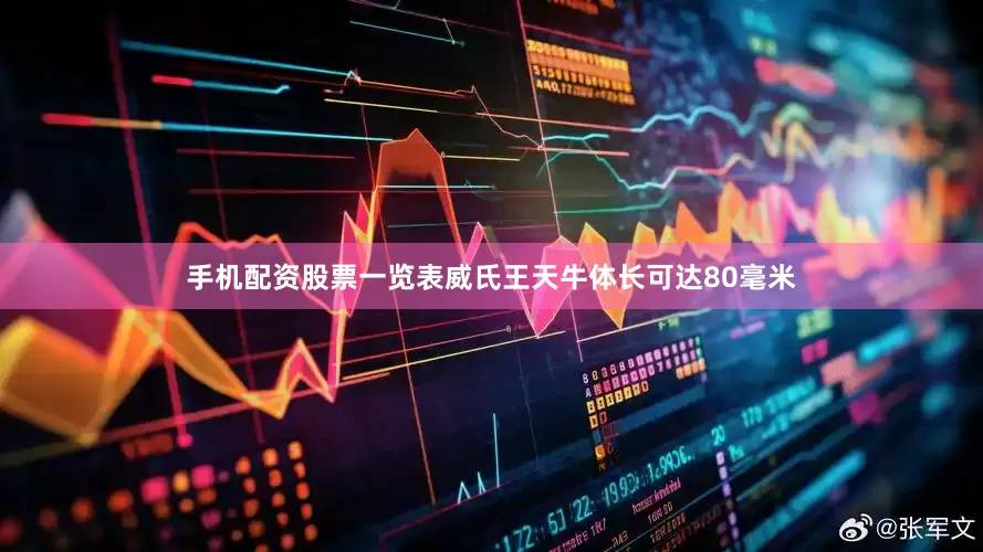 手机配资股票一览表威氏王天牛体长可达80毫米