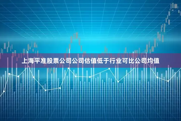上海平准股票公司公司估值低于行业可比公司均值