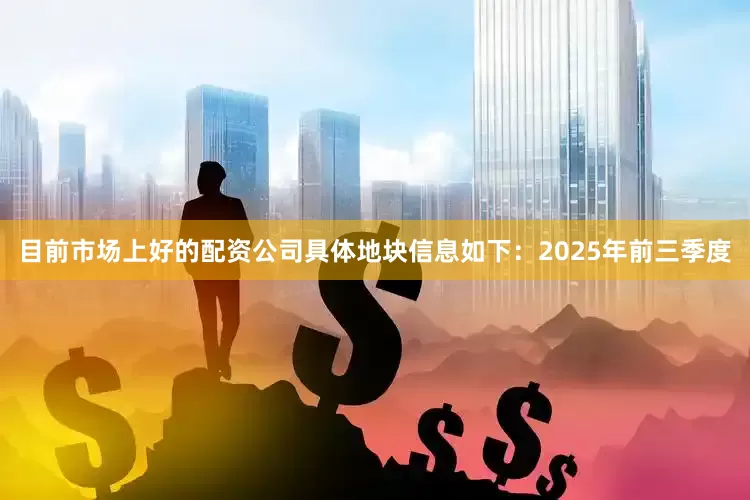 目前市场上好的配资公司具体地块信息如下：2025年前三季度