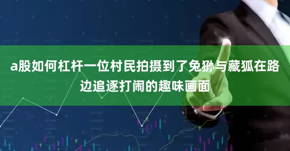 a股如何杠杆一位村民拍摄到了兔狲与藏狐在路边追逐打闹的趣味画面