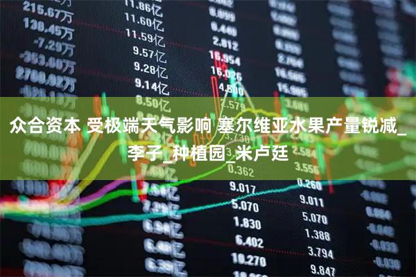 众合资本 受极端天气影响 塞尔维亚水果产量锐减_李子_种植园_米卢廷
