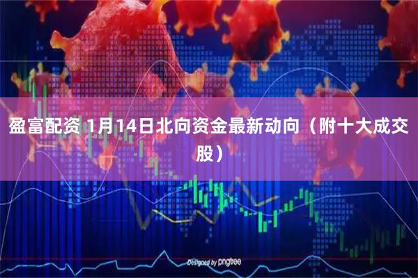 盈富配资 1月14日北向资金最新动向（附十大成交股）