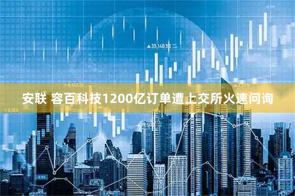 安联 容百科技1200亿订单遭上交所火速问询